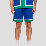 All Team Sweater Knit Shorts (Blue)