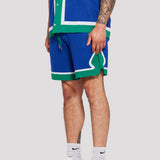 All Team Sweater Knit Shorts (Blue)