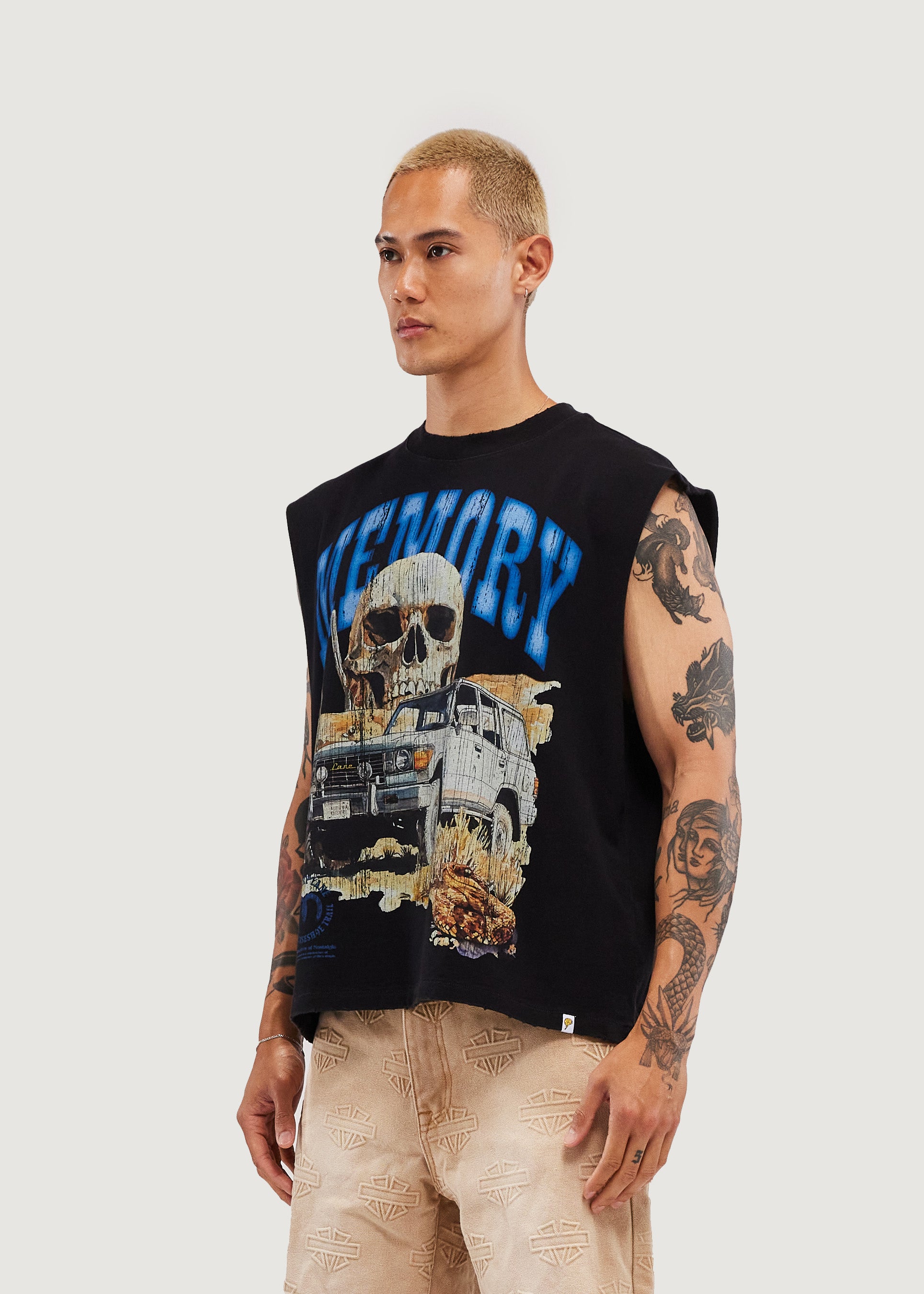 Desert Scene Sleeveless Crop Tee (Vintage Black)