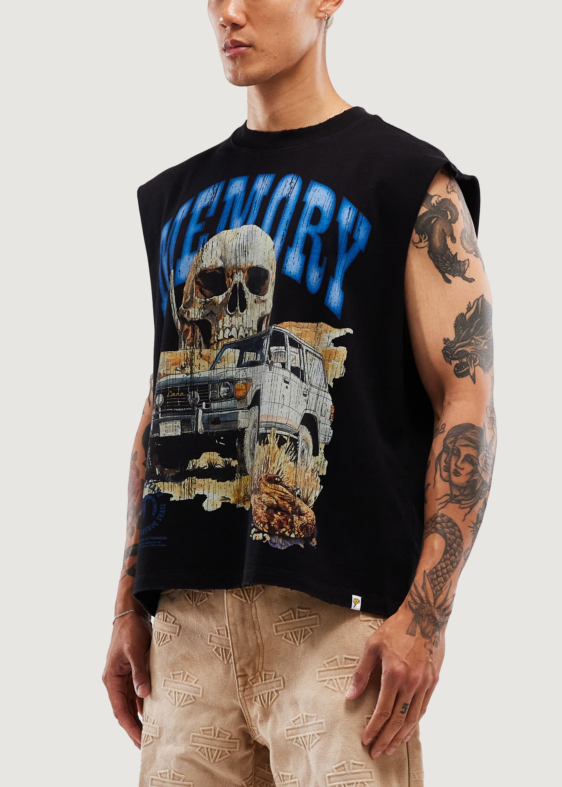 Desert Scene Sleeveless Crop Tee (Vintage Black)