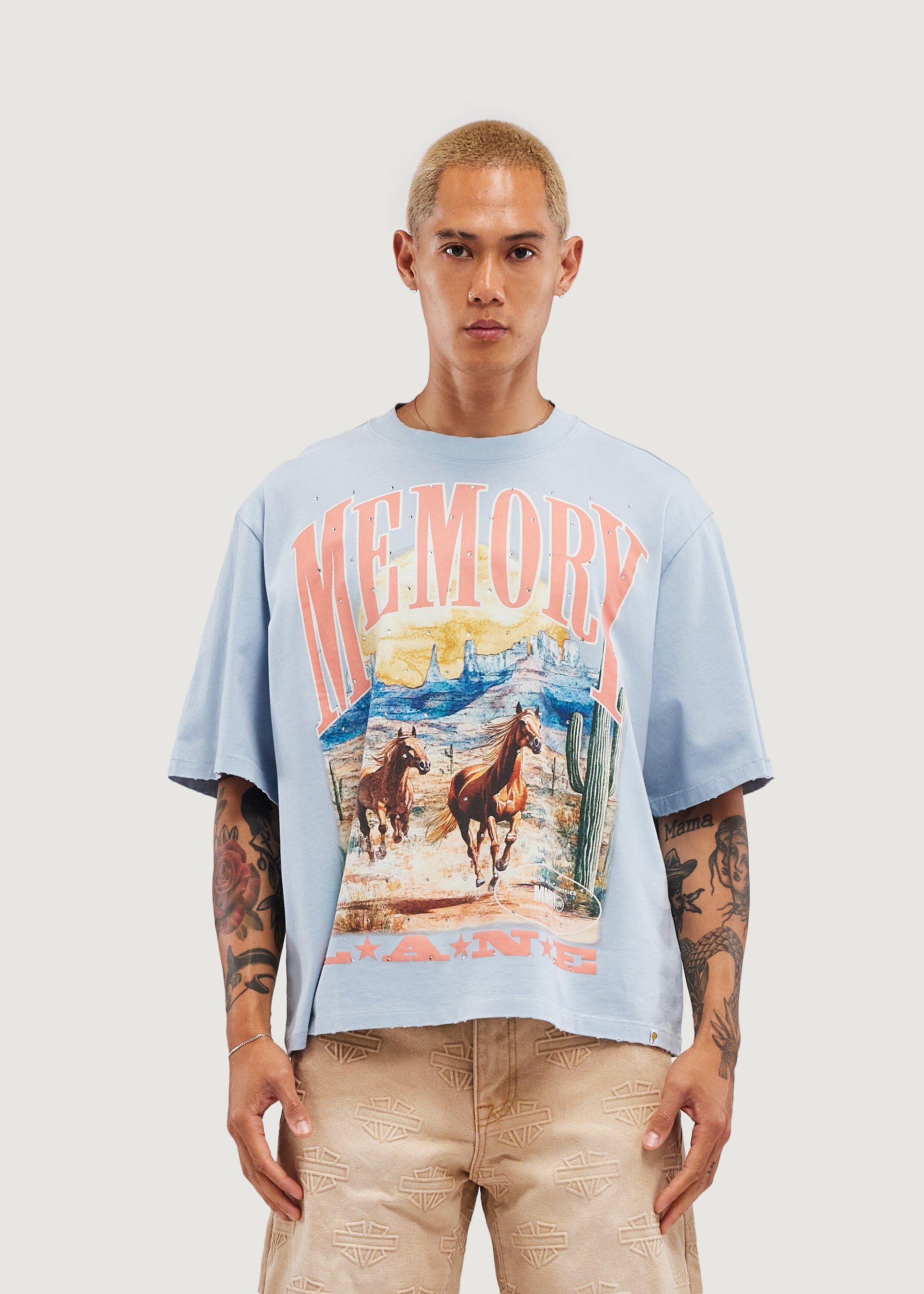 Wild Horses Crop Tee (Slate Gray)