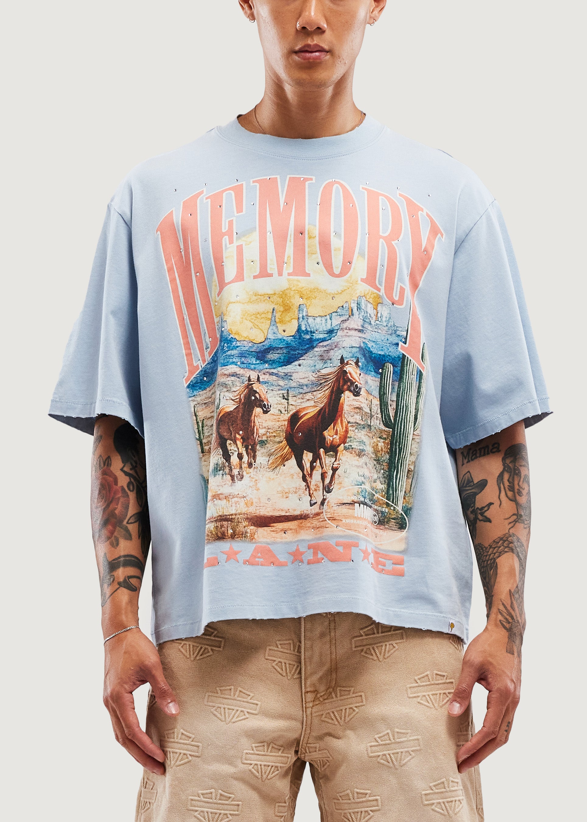 Wild Horses Crop Tee (Slate Gray)